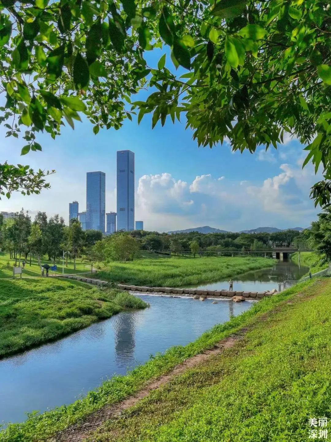 深圳福田免费公园排名前十名,福田中心公园游玩攻略