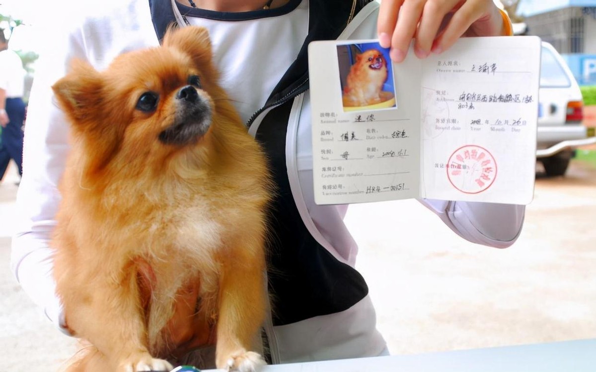 天津办护照,天津办理护照外地户籍