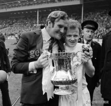 金鱼记忆的真相,金鱼记忆过程视频