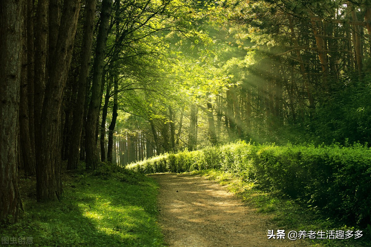 养儿是否一定能养老？