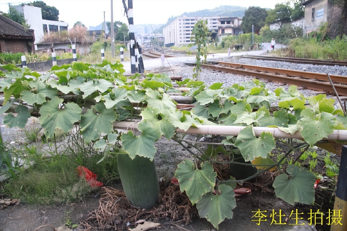 坪石梅田铁路,韶关乐昌市坪石镇火车站
