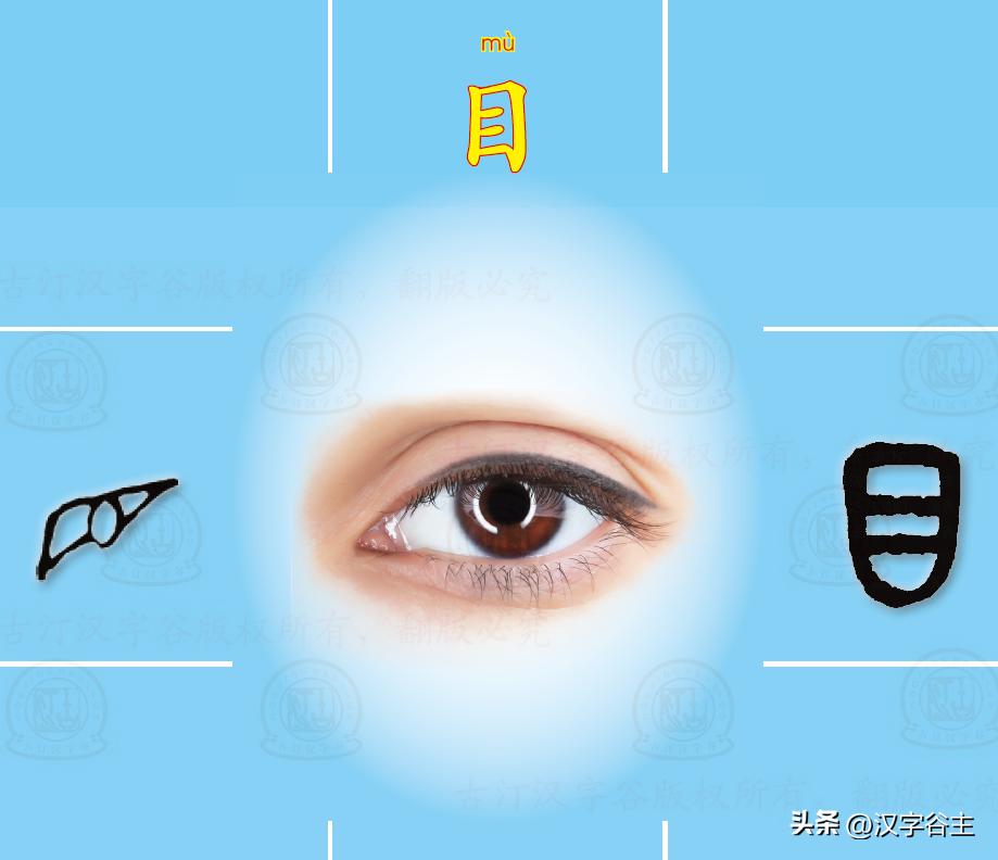 为孩子收藏280个成语,含有身体部位的成语100个