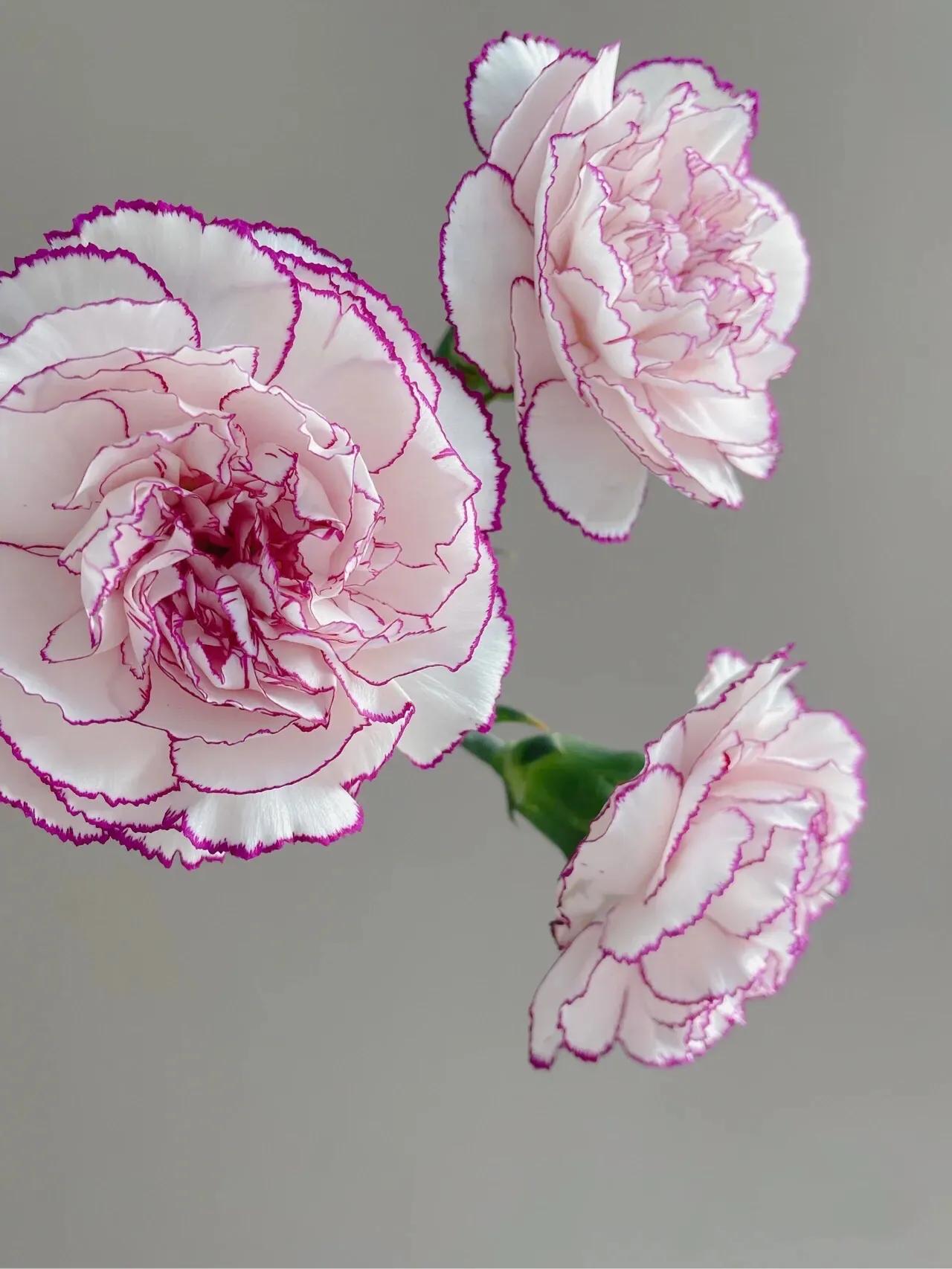 母亲节暖心文案给老婆,母亲节暖心文案