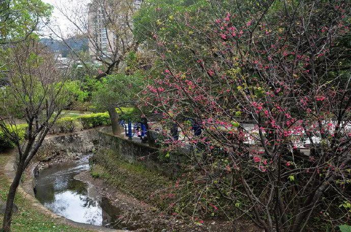 台湾温泉自由行攻略,台湾北部一日游景点攻略