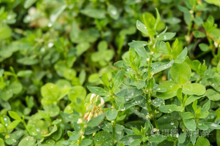 妖怪名单最强排行榜,中国古代妖怪大全集