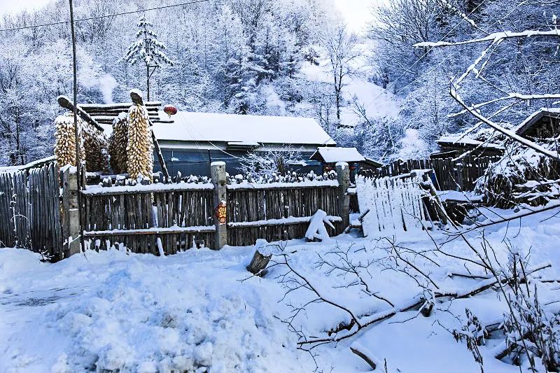 燃情冰雪相约冬奥,燃情北京冬奥共赴冰雪之约