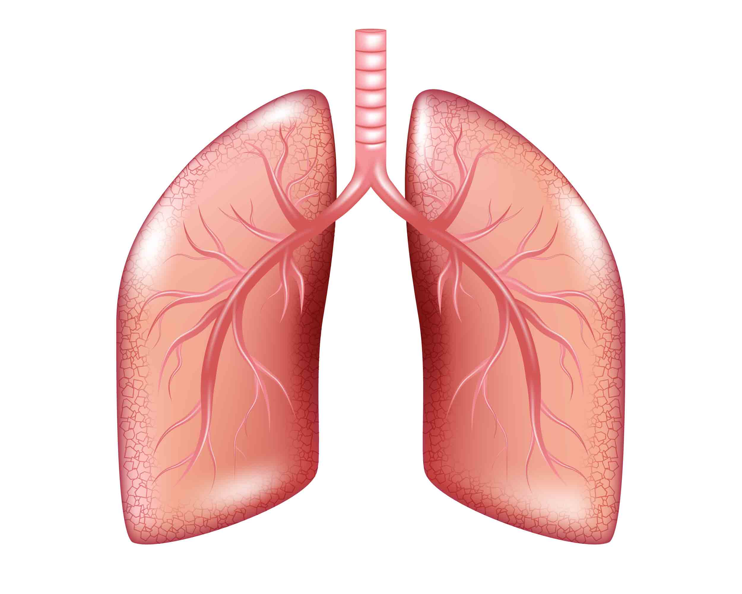 肺里有白痰最快化痰的方法是什么,老是感觉有痰是白肺吗