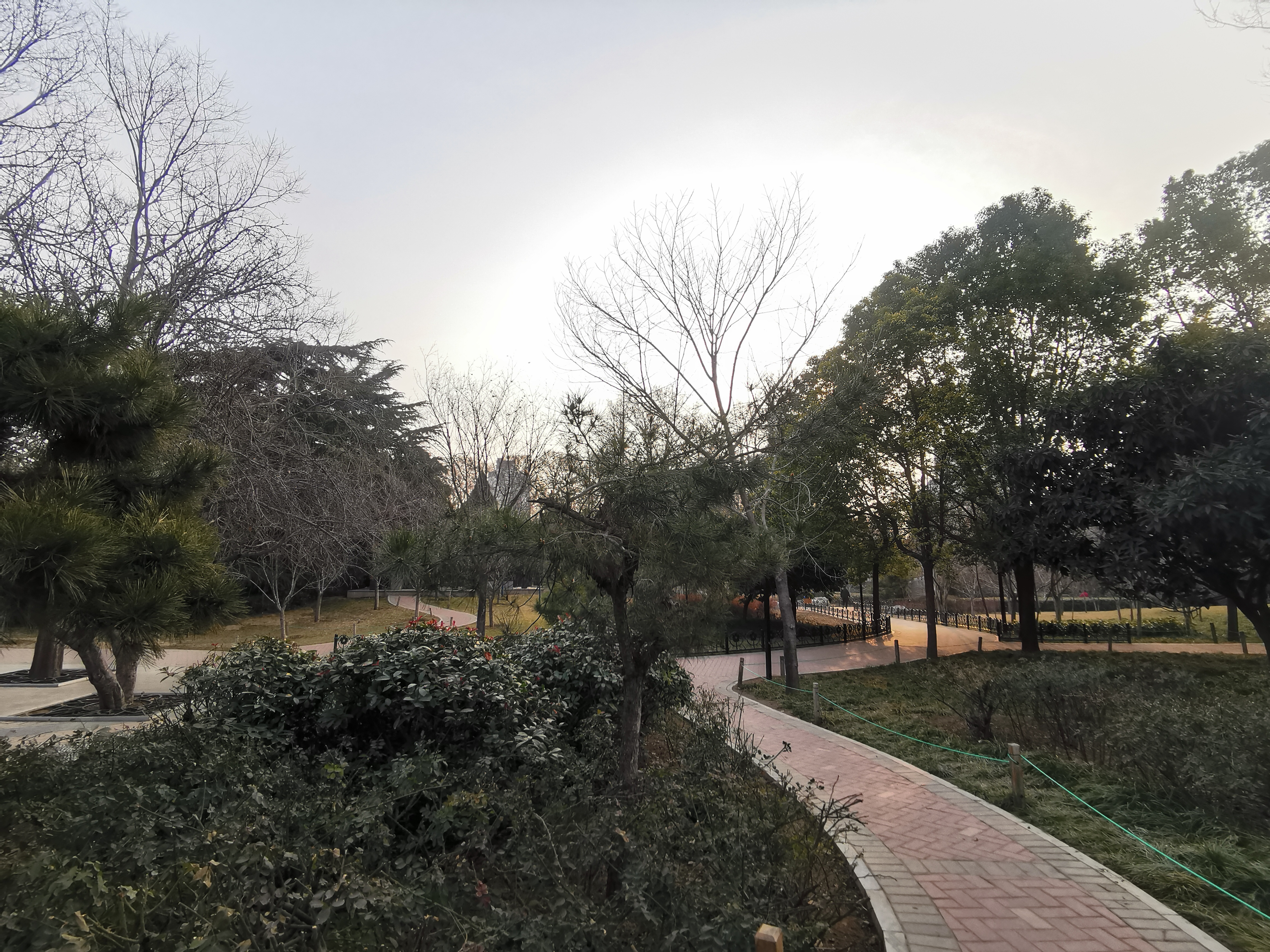 刑法第302条的内容是什么,刑诉法302条规定