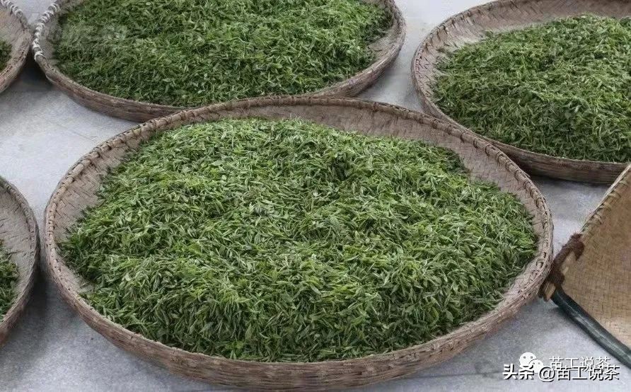 分享最全面的祁门红茶分类,关于祁门红茶的简介资料有哪些