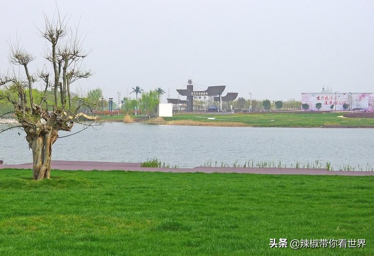 盐城最大的海边城市,盐城海岸线为何一直延伸