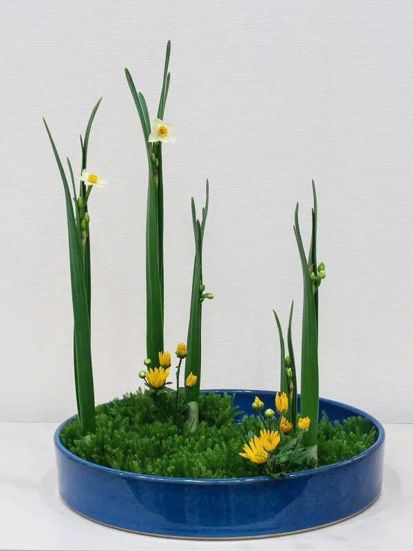 日式插花小原流花道,日式插花的13个基本技巧