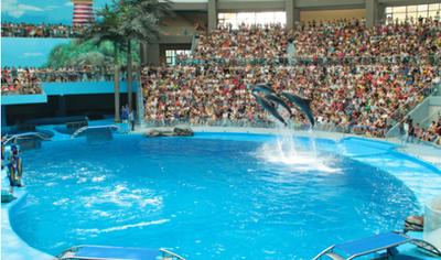 成都极地海昌海洋公园游记,成都海昌海洋公园游攻略