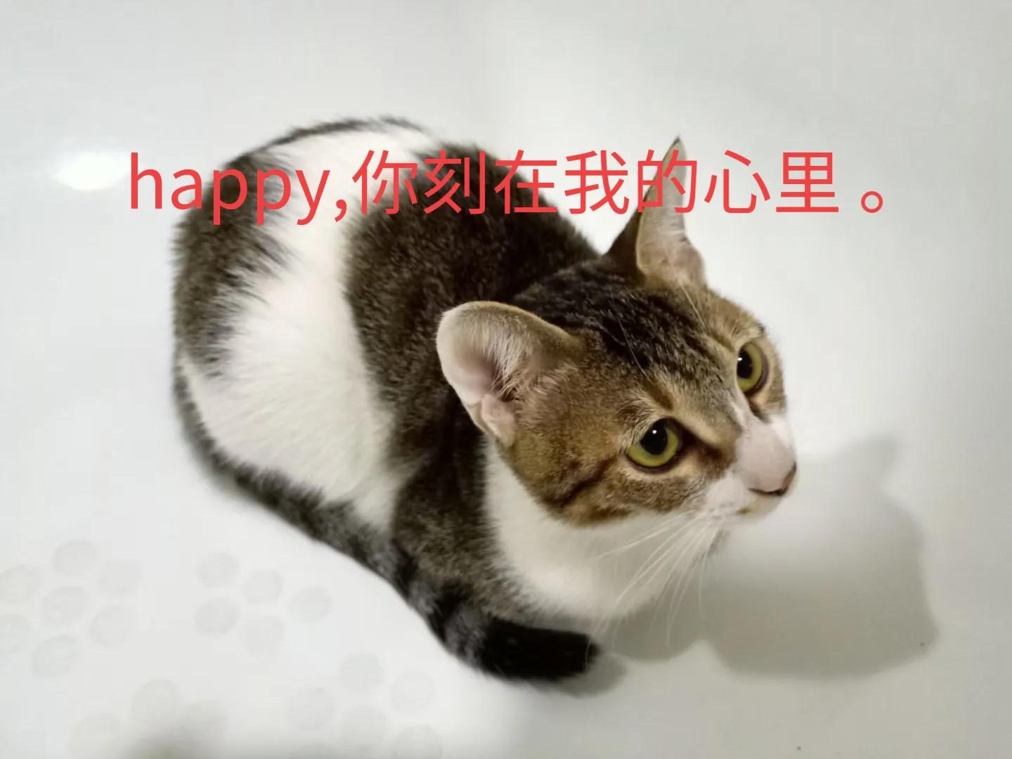 happy鎴戠殑濂冲鎻掓洸,浣爃appy鎴戜篃happy