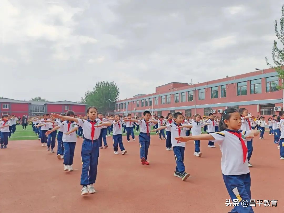 校园赛场青春激扬活力四射,推荐校园竞技