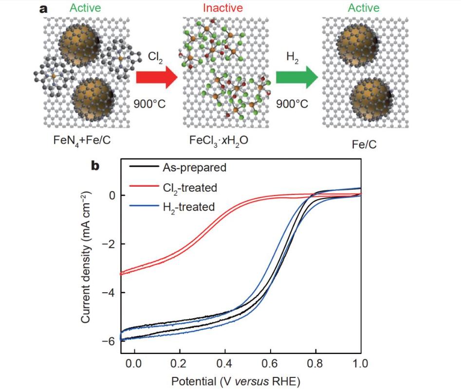 壳聚糖共混物及其在电催化氧还原中的潜在应用