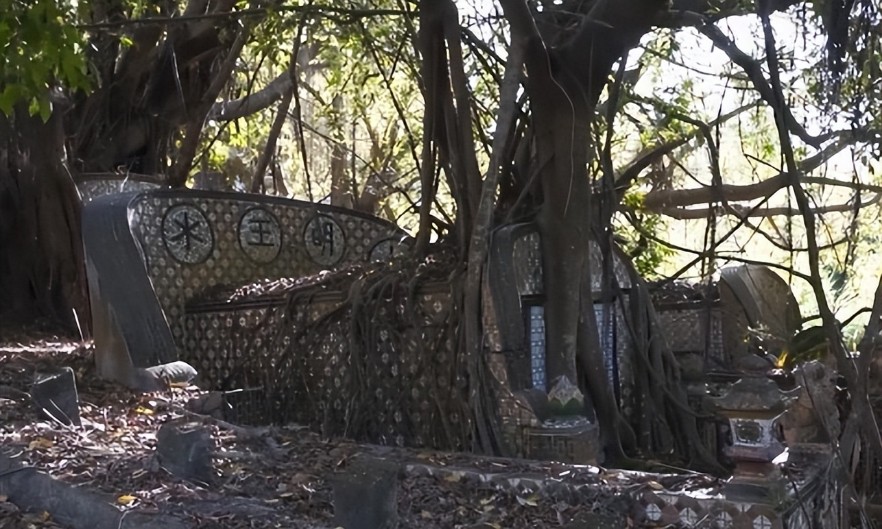 台湾“灵魂摆渡人”，20年间自费送200位老兵回家，感动海峡两岸