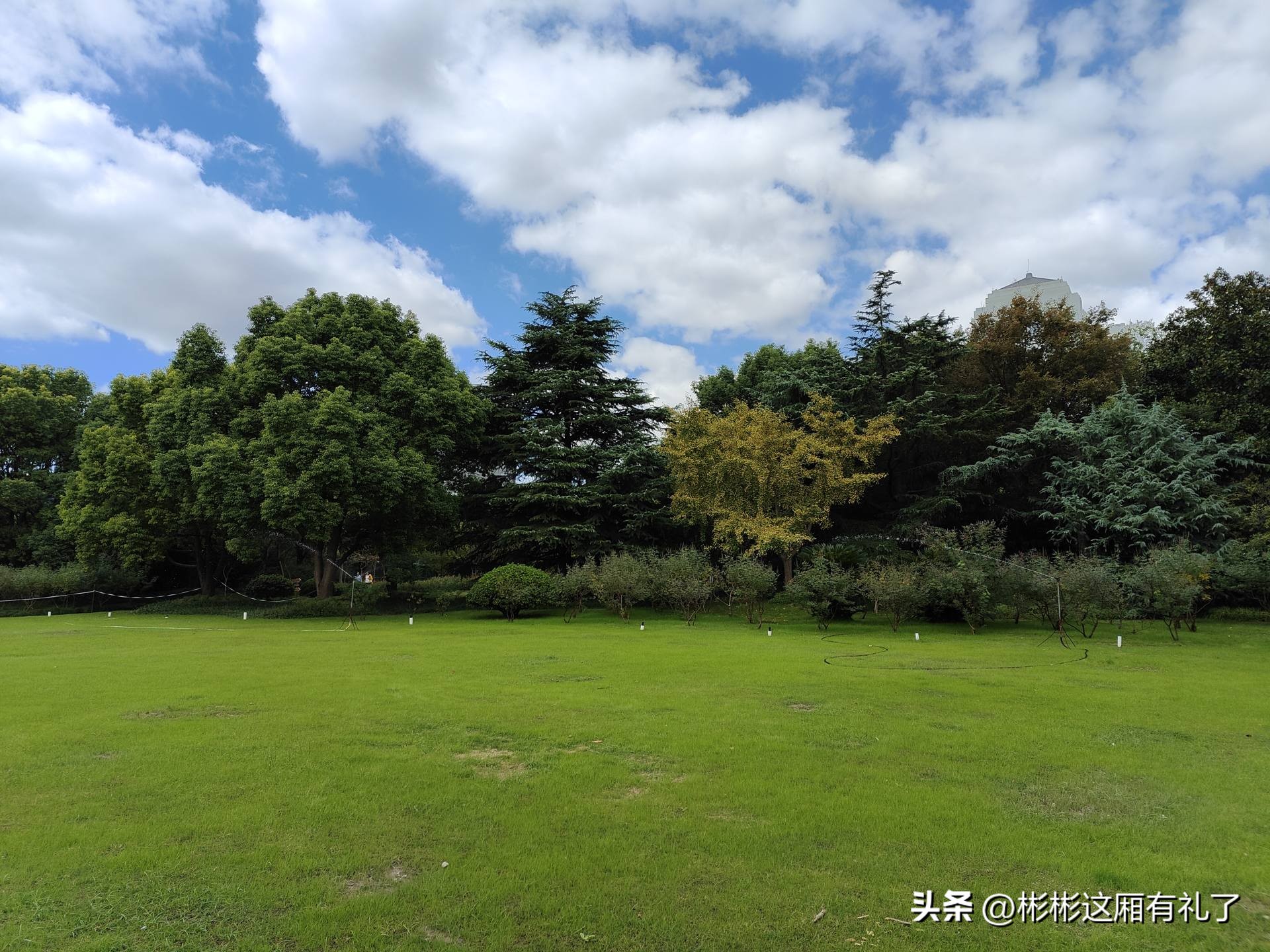 一加acepro与苹果13哪个反应快,一加acepro和苹果13