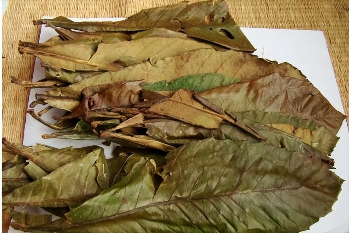 小孩鼻炎西医中医都没效果怎么办,孩子鼻炎久治不愈怎么用药