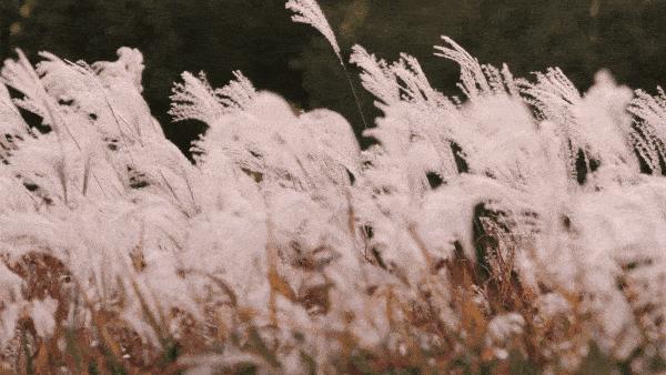 云端秘境遂昌,遂昌冬天旅游攻略