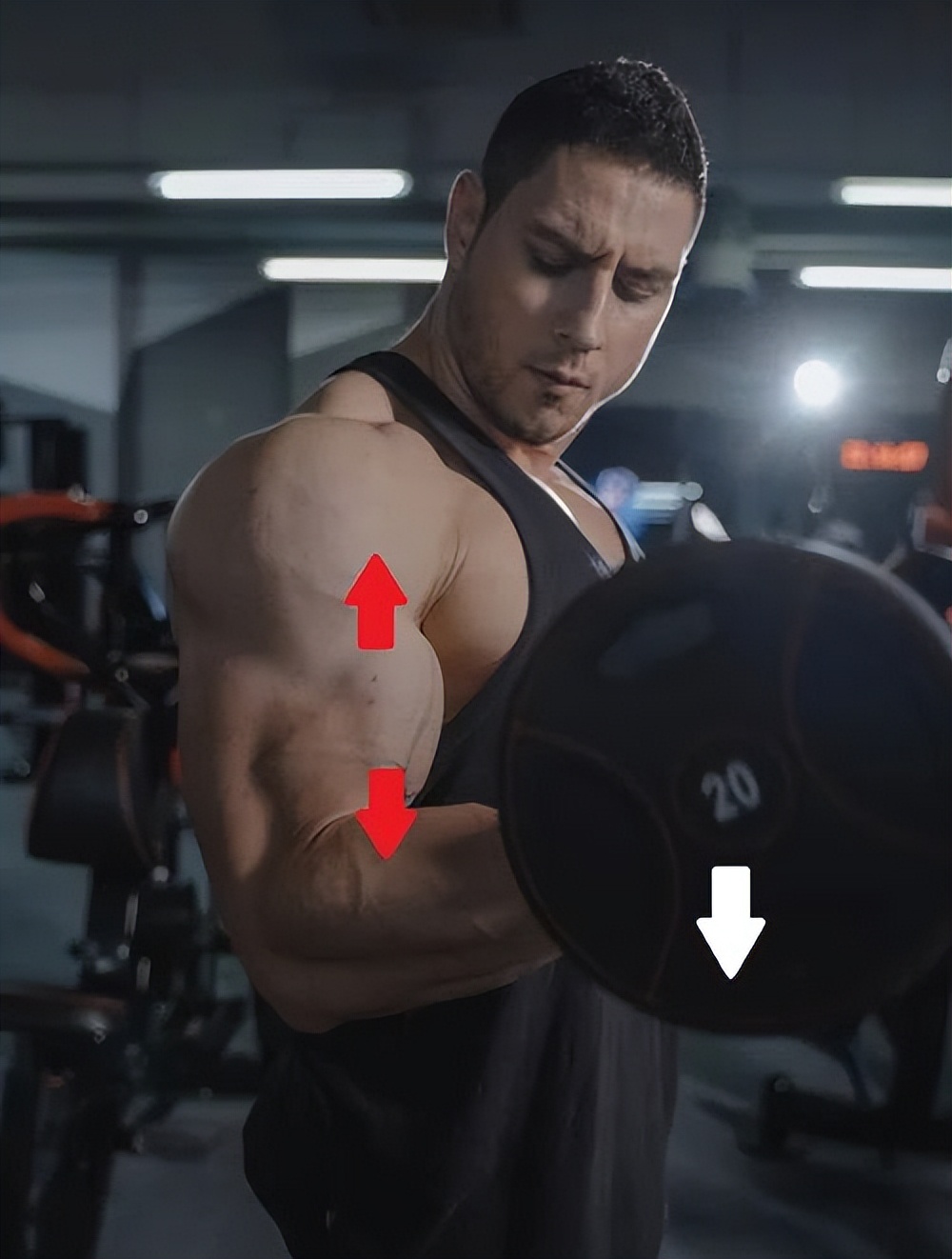 健身增肌的原理是什么,健身增肌原理动作讲解