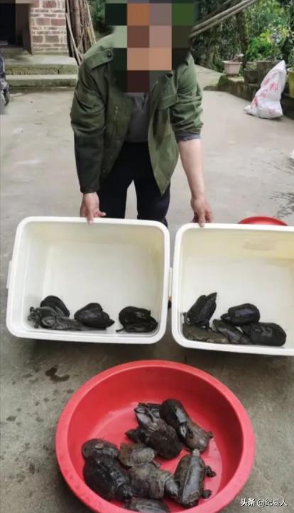 北京男子捡到乌龟养了8年,男子在野外捡到乌龟越长越不好