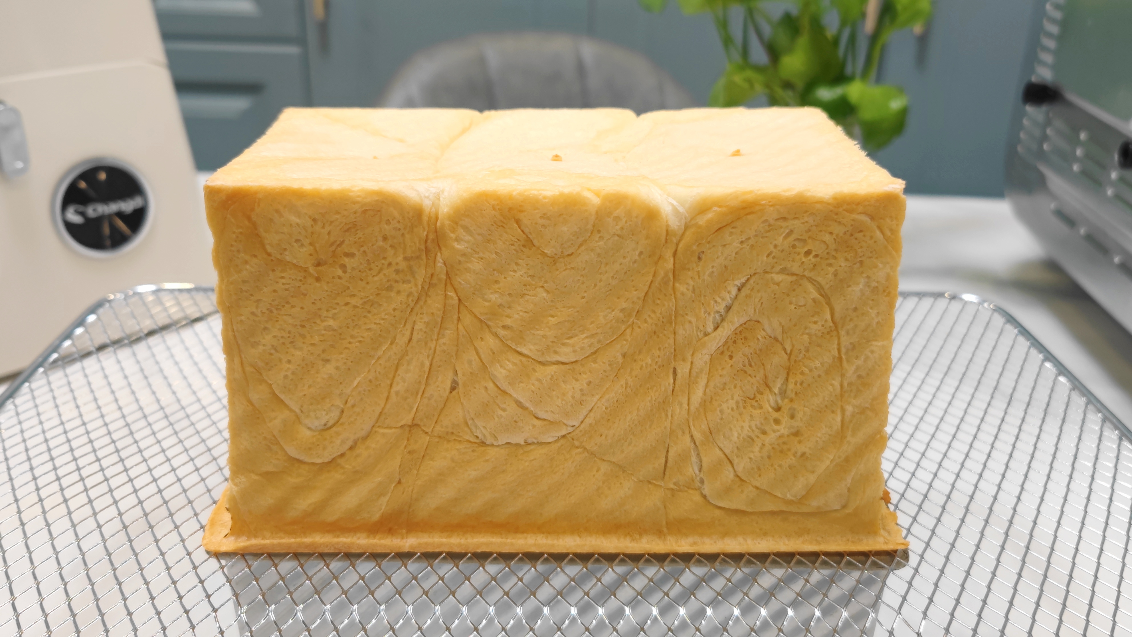 长帝企鹅顶顶和海氏m6哪个好,企鹅顶顶厨师机做蛋糕