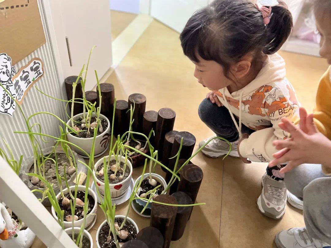 生态环创幼儿园自然角,幼儿园环创自然角实验