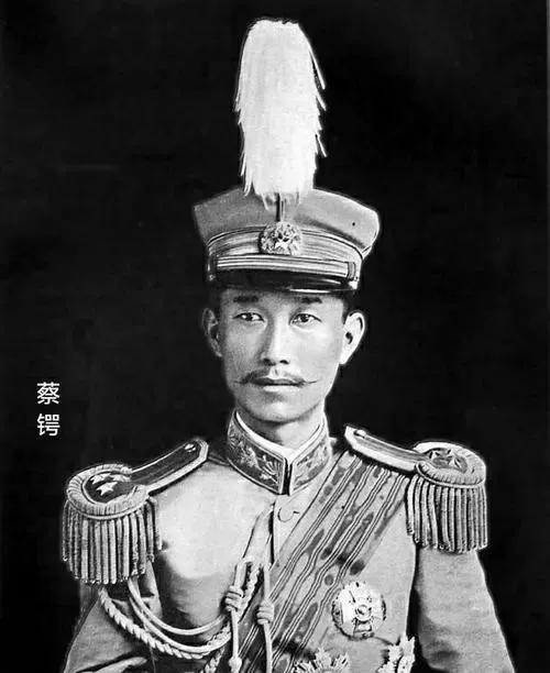 大总统袁世凯的电视剧,袁世凯大总统简介