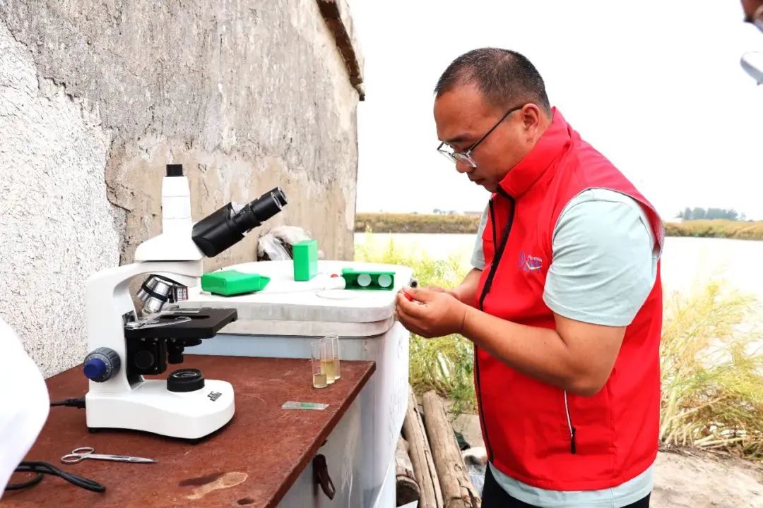 临猗县渔药：“渔药之乡”发扬“无鱼而渔”精神