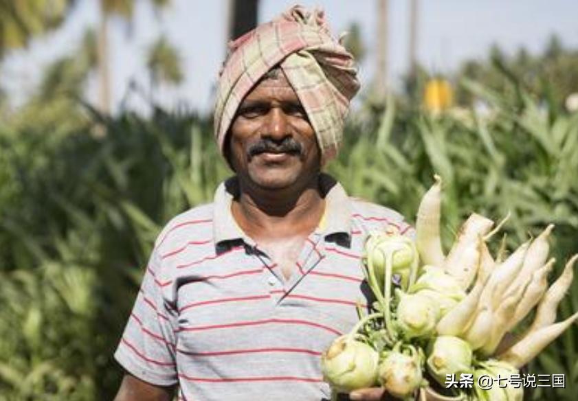 世界五大粮食生产国是哪些,世界前十大粮食生产国