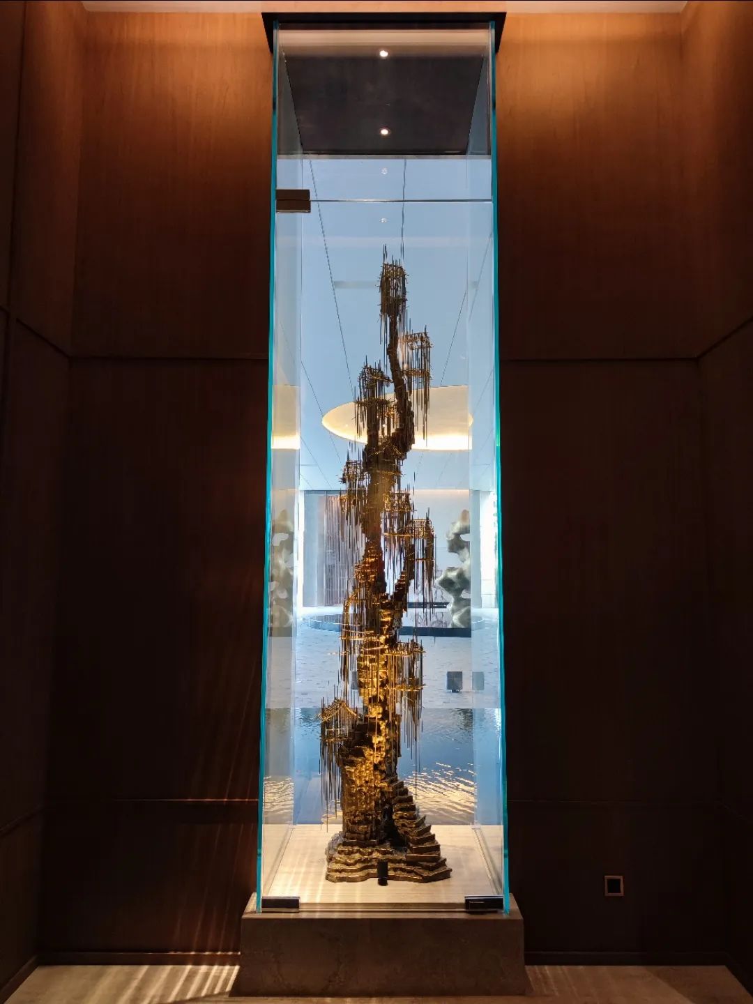 杭州康莱德酒店大厅效果图,深圳康莱德酒店拍摄