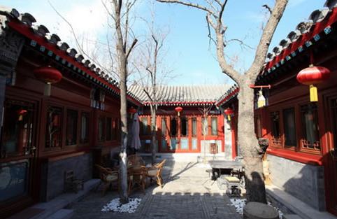 崔老道传奇完整版,崔老道传奇有几部