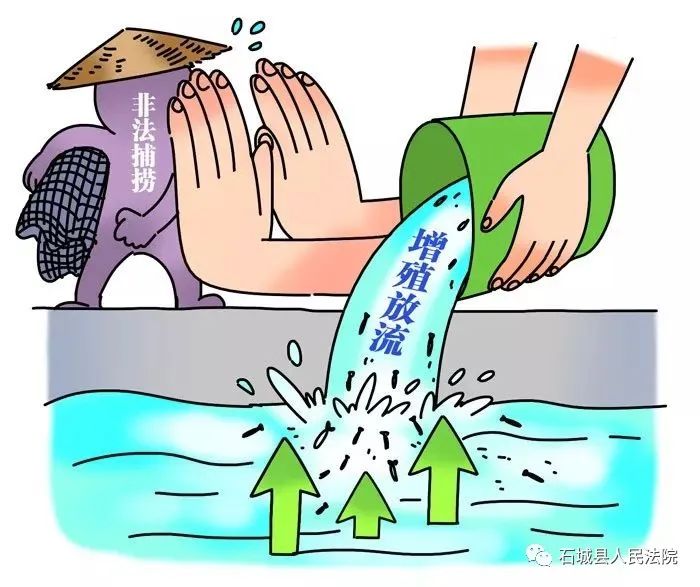 禁渔期电鱼被抓到怎么处罚,电鱼治安处罚案例