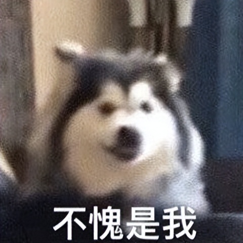 筋膜枪海博艾斯哪款最好,专业级筋膜枪海博艾丝