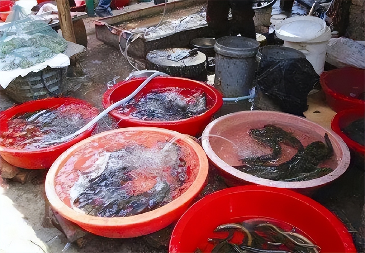 四川走失33年男孩和父母相认,寻人节目四川8岁男孩丢失40年