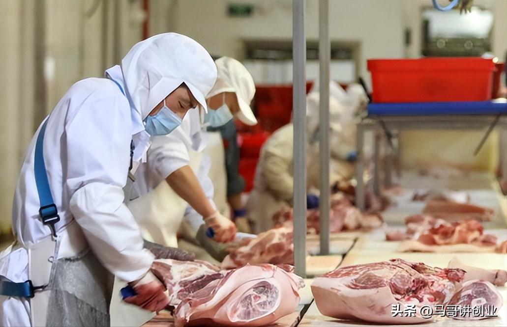 农村做什么赚钱五个致富项目,农村快速致富成本低的方法有哪些