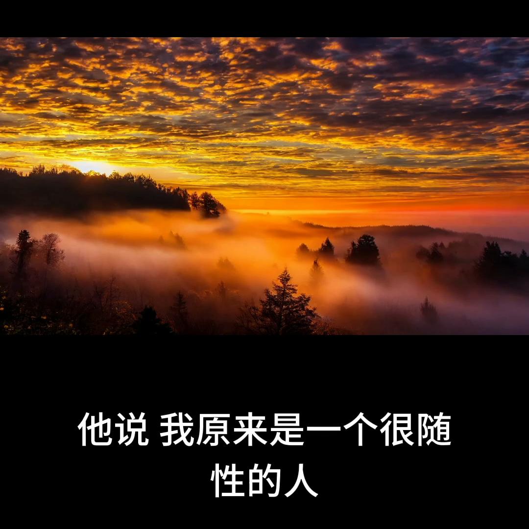 大专的个人成长和职业规划500字,职业规划及如何提升自己