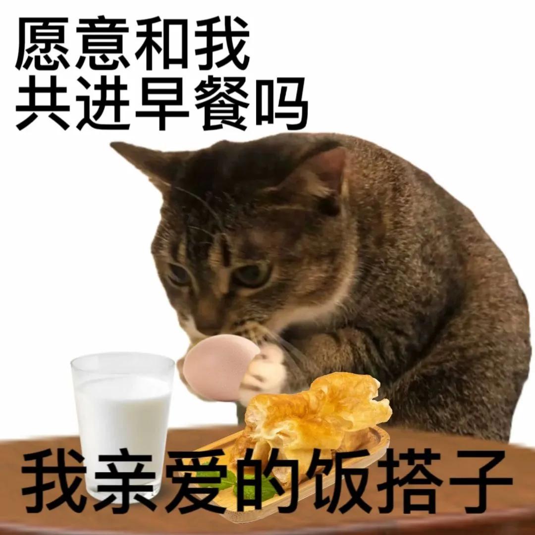 心里乱七八糟的表情包,搞笑图片沙雕表情包可保存