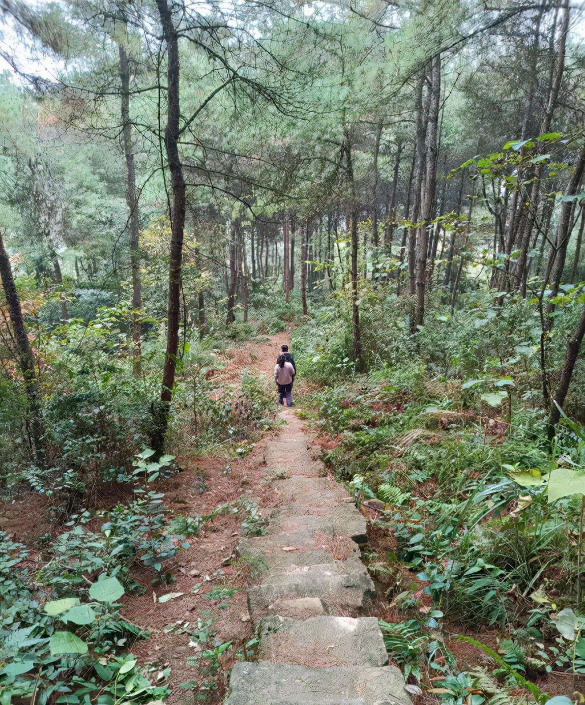 探秘北碚水土天坑,打卡重庆北碚金刀峡偏岩古镇