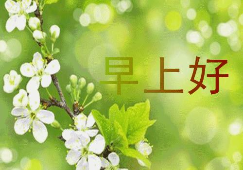 早上好朋友问候语暖心句子,早安正能量心语鼓励朋友图片