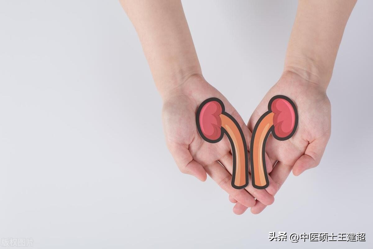 湿气重吃什么中药排湿气,湿气重吃了中药湿气从哪里排出