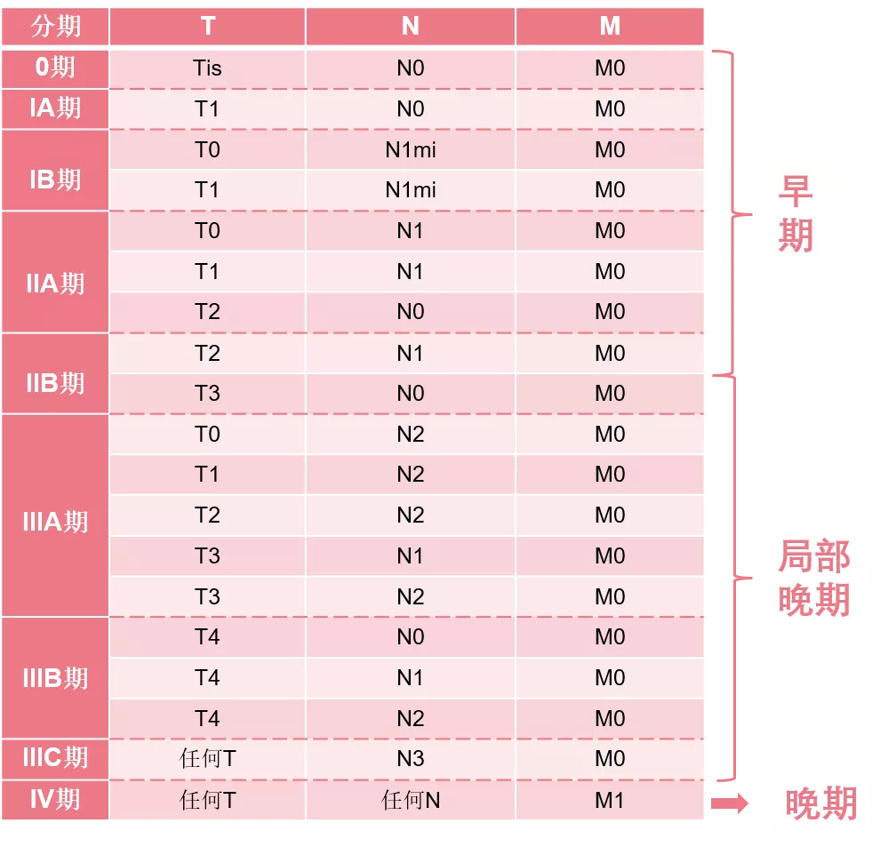 我是乳腺癌晚期,乳腺癌分期和分级哪个决定预后