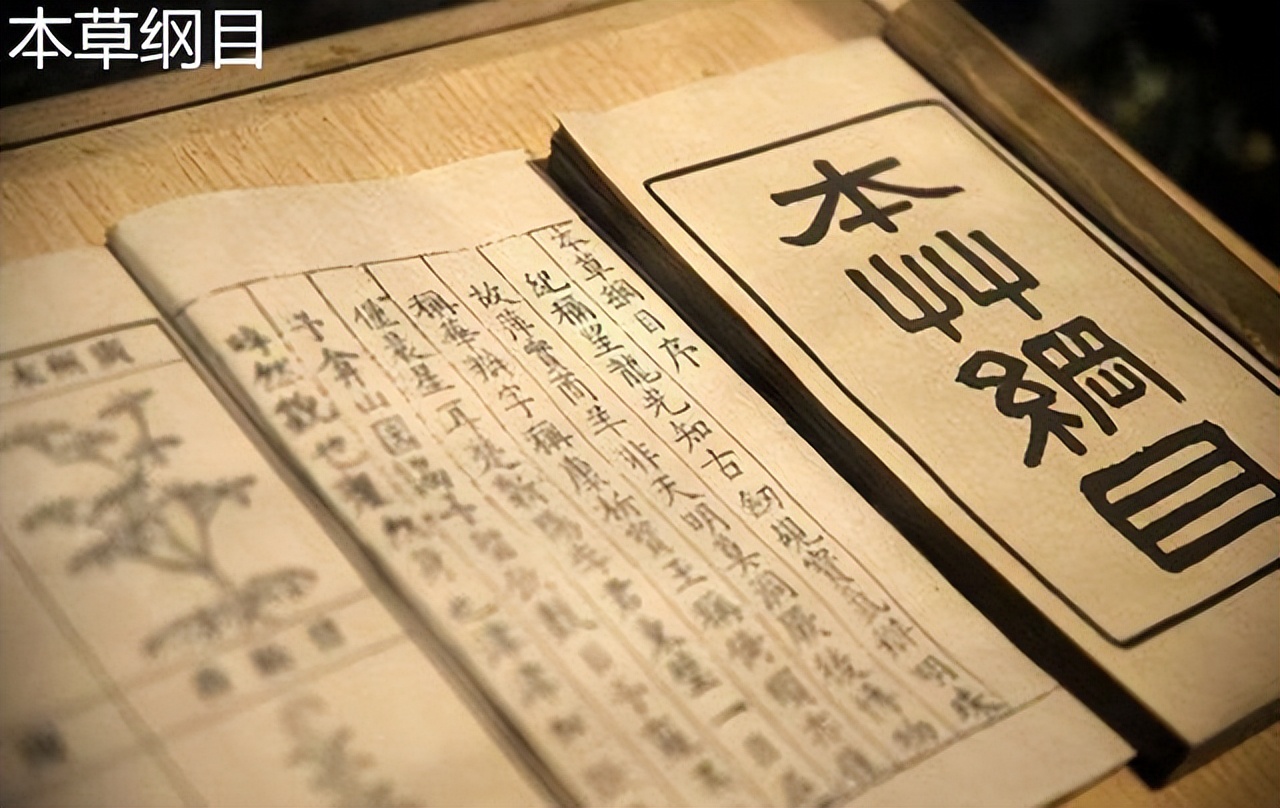 陈醋米醋白醋香醋的区别和用法,白醋米醋香醋陈醋各有什么区别