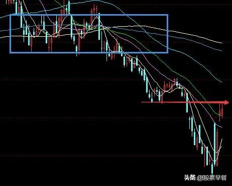 早两天是先烈，晚两天是先知丨收评