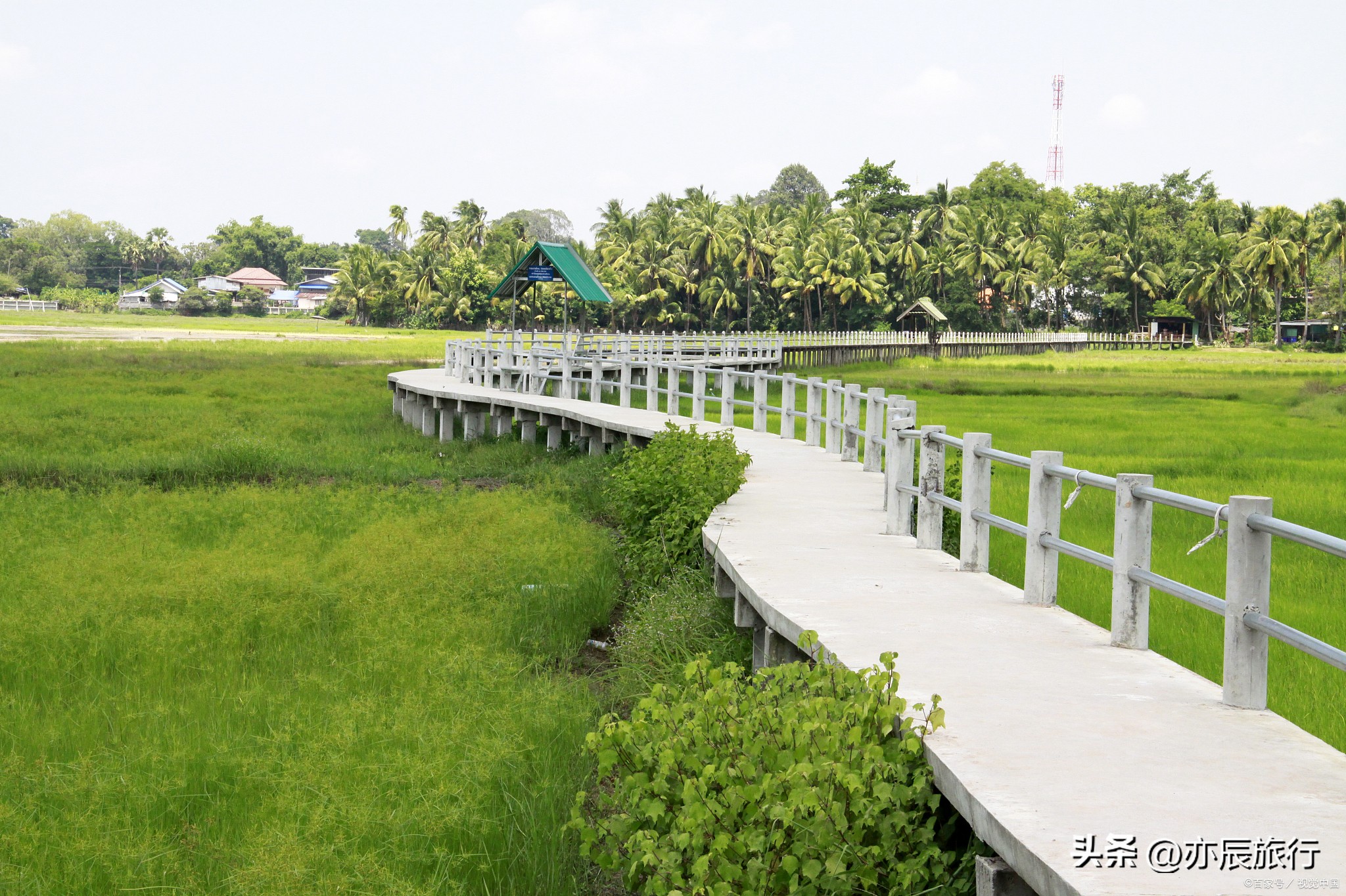 佛山秋天禅城必游景点,佛山11月游玩攻略自由行