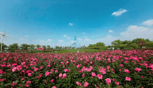 安徽芜湖爱在鸠兹文旅消费季,爱在鸠兹相约七夕