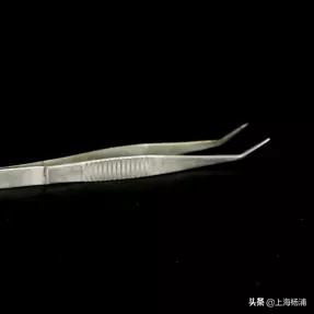 动手做一枚“叶脉书签”吧，好看又实用！【春节宅家手工】