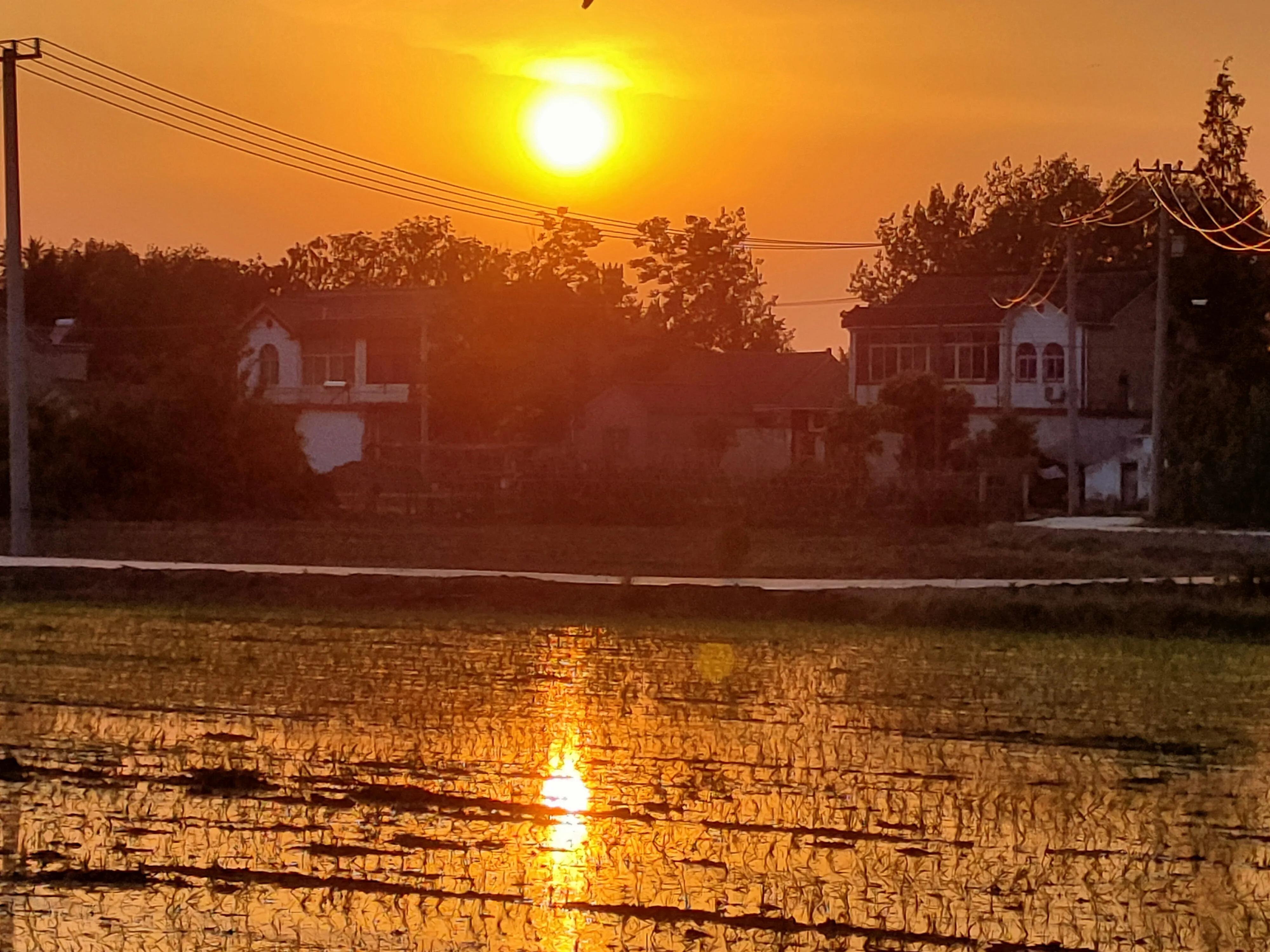 农村人是最美的劳动人,农民是最轻松的职业