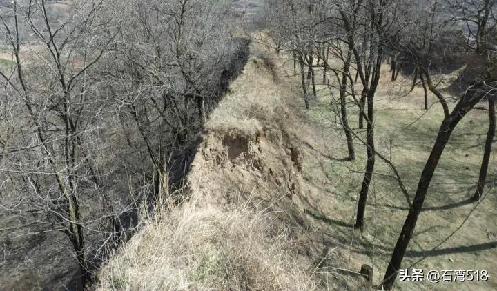 王阴阳简介,阴阳传记