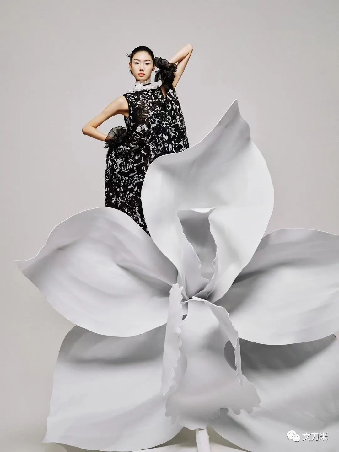 34岁转行即火|大品牌、明星争相找这位新手做花